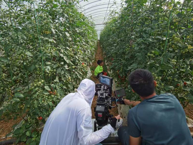 芒市产品宣传视频拍摄公司进阶指南，助力品牌抢占传播高地